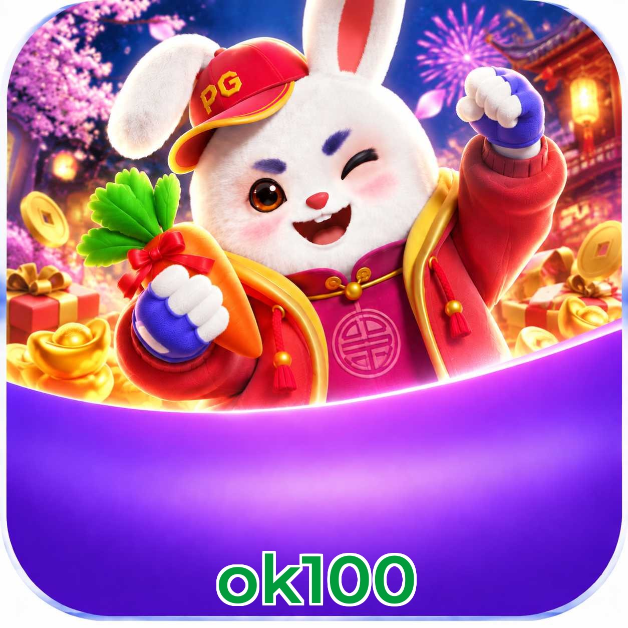 ok100 Interface
